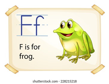 Frog flashcard