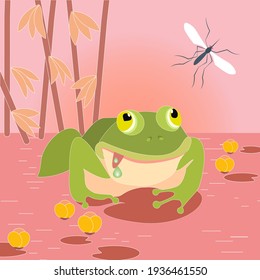 The frog and its food chain. A hungry frog wants to eat a mosquito. Vector cartoon graphics.