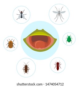 Frog food and nutrition of crocket, mosquito, fly and bugs vector illustration. Biology, frogs food chain. Bufo, european toad or froggy mouth.