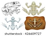 Frog and fossil underground illustration
