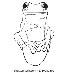 frog graphic design vector illustration, art sketch sketch, icon, logo, amphibian sign, use in print, hand draw, reptile