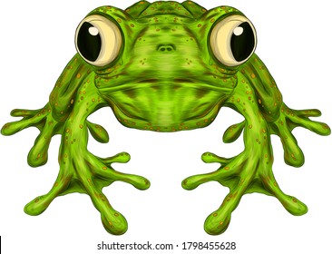 frog  green cartoon funny vector illustration print