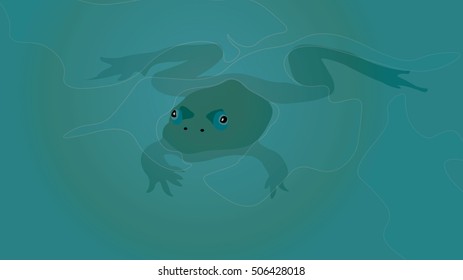 Frog : Green frog floating in the water or pond