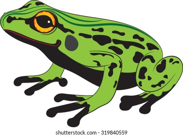 Black and White Frog Clip Art Images, Stock Photos & Vectors | Shutterstock