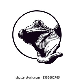 Frog Hand Drawn Logo Illustration