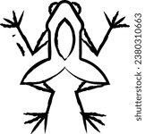 Frog hand drawn vector illustration