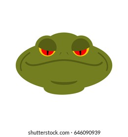 Frog head isolated. face of toad. Amphibian animal