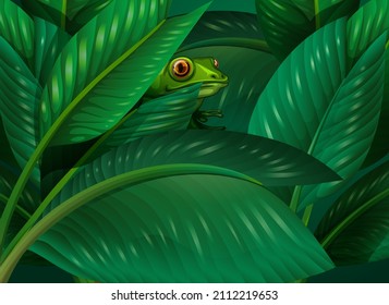 Frog hidden in the tropical leaves background illustration