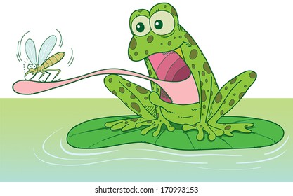 La rana caza insectos
