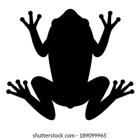 Frog Icon