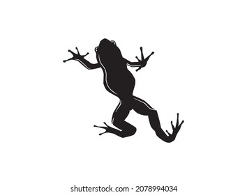 icono de rana, silueta vectorial de rana toro aislada