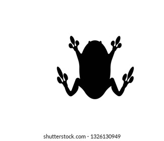 Frog icon, vector illustration - Vector
