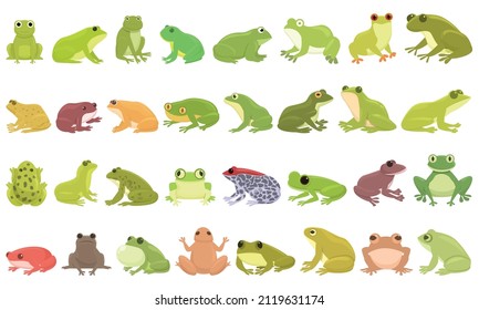Frog Icons Set Cartoon Vector. Toad Water. Tadpole Catch