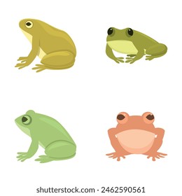 Iconos de rana conjunto de dibujos animados Vector. Varios dibujos animados rana linda. Reptil anfibio