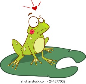 frog illustration