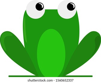 Frog, illustration, vector on white background.