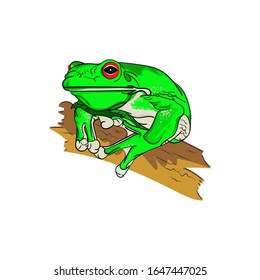 frog illustration,vector design,animal mascot,clip art,decal,graphic design,vector illustration