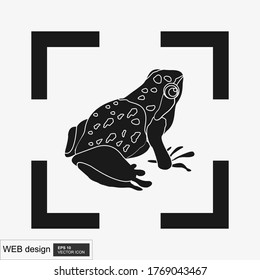 Frog image in flat style arranged isolated on a white background. Vector illustration.