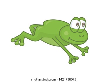 Frog. isolated on white background