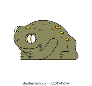Frog isolated. Toad on white background. Vector illustration.