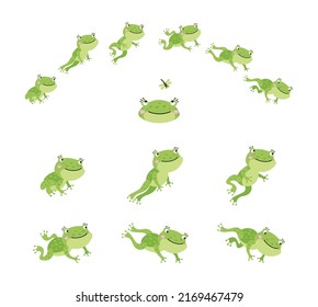 Frog jump. Isolated jumping green frogs, motion process animation. Sequence movement character. Cute cartoon toad leap, nowaday vector scene