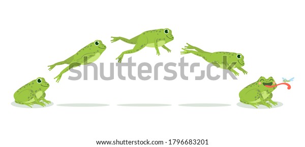 カエルジャンプ さまざまなカエルのジャンプアニメーションシーケンス ジャンプグリーンのヒキガエルキーフレーム おかしな水動物を狩る昆虫 カートーンのベクター画像セット のベクター画像素材 ロイヤリティフリー