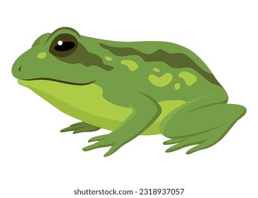 Frog jumping animation icon. Sequences or footage for motion design. Cartoon toad jumping, animal movement concept. Frog leap sequence, vector illustration