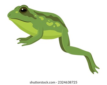 Frog jumping animation icon. Sequences or footage for motion design. Cartoon toad jumping, animal movement concept. Frog leap sequence, vector illustration