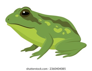 Frog jumping animation icon. Sequences or footage for motion design. Cartoon toad jumping, animal movement concept. Frog leap sequence, vector illustration