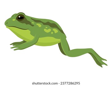 Frog jumping animation icon. Sequences or footage for motion design. Cartoon toad jumping, animal movement concept. Frog leap sequence, vector illustration