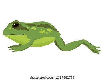 Frog jumping animation icon. Sequences or footage for motion design. Cartoon toad jumping, animal movement concept. Frog leap sequence, vector illustration