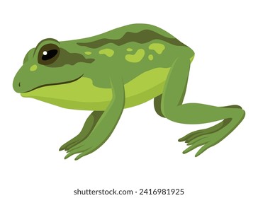 Frog jumping animation icon. Sequences or footage for motion design. Cartoon toad jumping, animal movement concept. Frog leap sequence, vector illustration