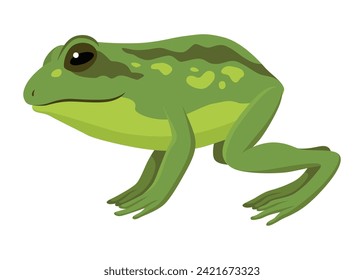 Frog jumping animation icon. Sequences or footage for motion design. Cartoon toad jumping, animal movement concept. Frog leap sequence, vector illustration