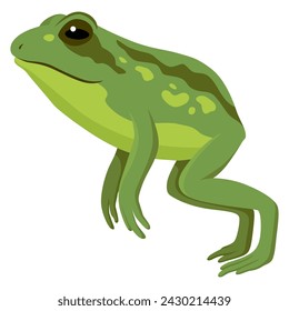 Frog jumping animation icon. Sequences or footage for motion design. Cartoon toad jumping, animal movement concept. Frog leap sequence, vector illustration