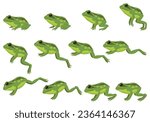 Frog jumping animation icon set. Sequences or footage for motion design. Cartoon toad jumping, animal movement concept. Animated process of frogs leaps sequence, vector illustration