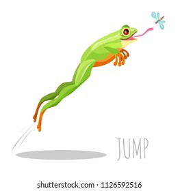 Frog jumping to catch fly isolated on white icon