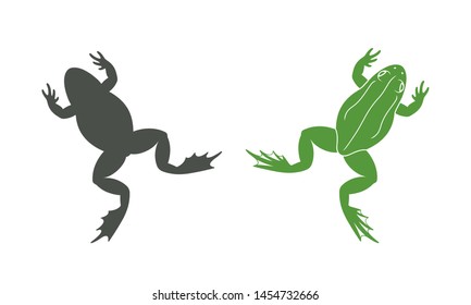 Frog jumping. Isolated frog on white background. Silhouette