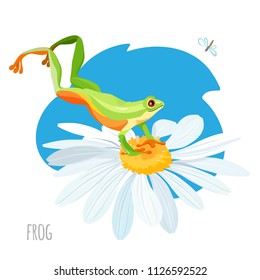 Frog jumping on chamomile flower vector sketch drawing