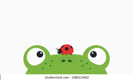 frog and ladybug cartoon vector. wallpaper. free space for text. copy space. blank.