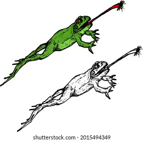 Frog Leaping Up To Catch A Fly With Its Tongue. Hand Drawn Vector Illustration.