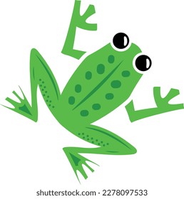 Frog legs concept, tailless amphibians vector design, Sea Food symbol, Underwater Animals aquatic Common species illustration