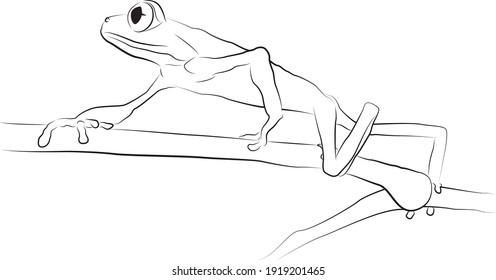 Frog legs long outline vector