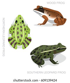 Frog Leopard Frog Set Cartoon Vector Illustration