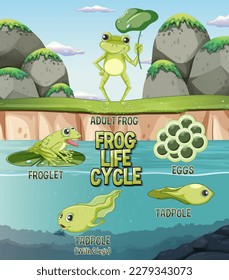 Frog Life Cycle Diagram illustration