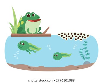 Frog Life Cycle Educational Vector Illustration Showing Eggs Tadpoles and Adult Frog