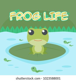 frog Life Illustration