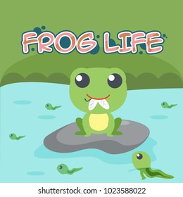frog Life Illustration