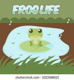 frog Life Illustration