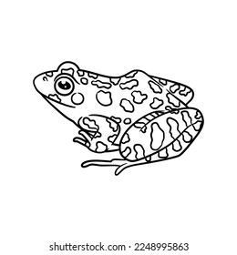 Frog line art drawing illustration, Cute frog outline black and white line art