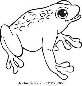 frog line vector illustration ,frog coloring book